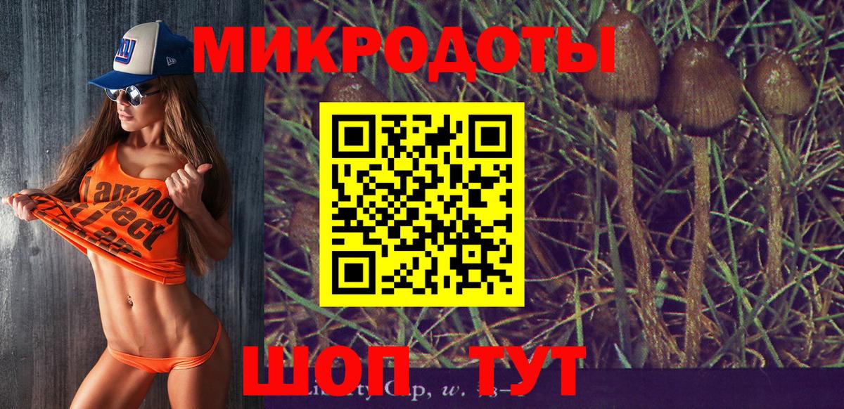 Фурманов  Псилоцибиновые грибы GOLDEN TEACHER  Вход с VPN  Галлюциногенные грибы MAGIC MUSHROOMS 